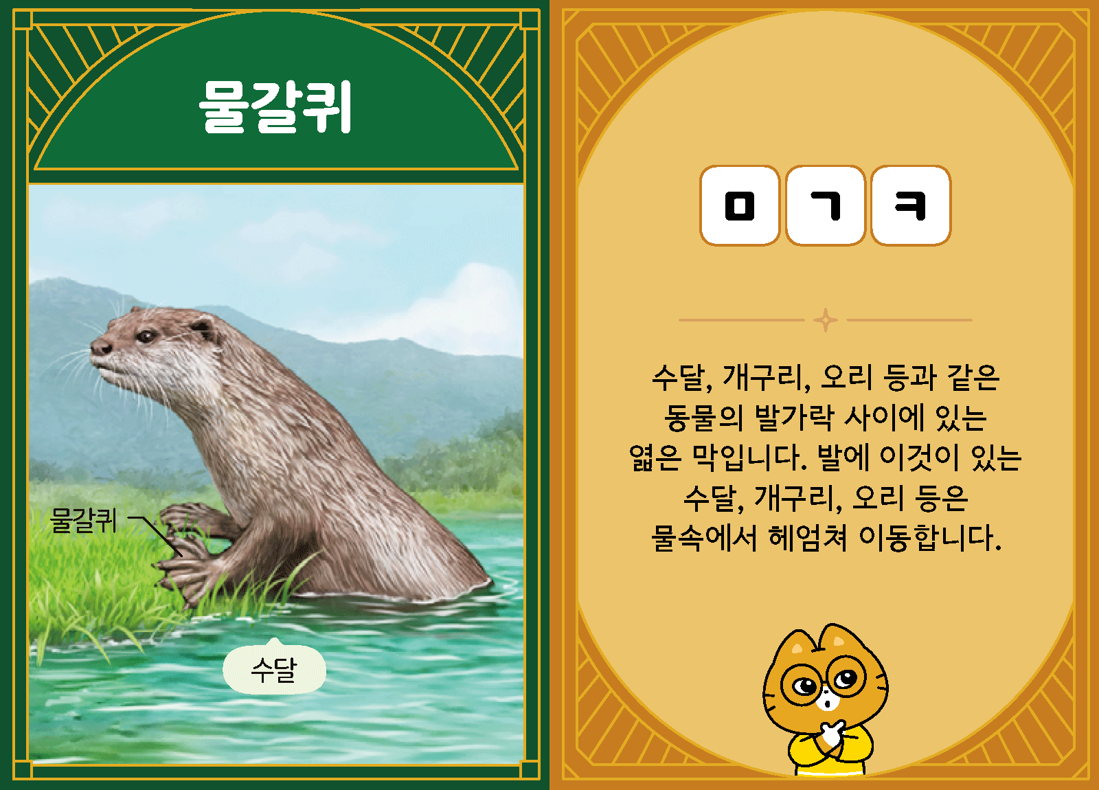 과학3-1-14-물갈퀴