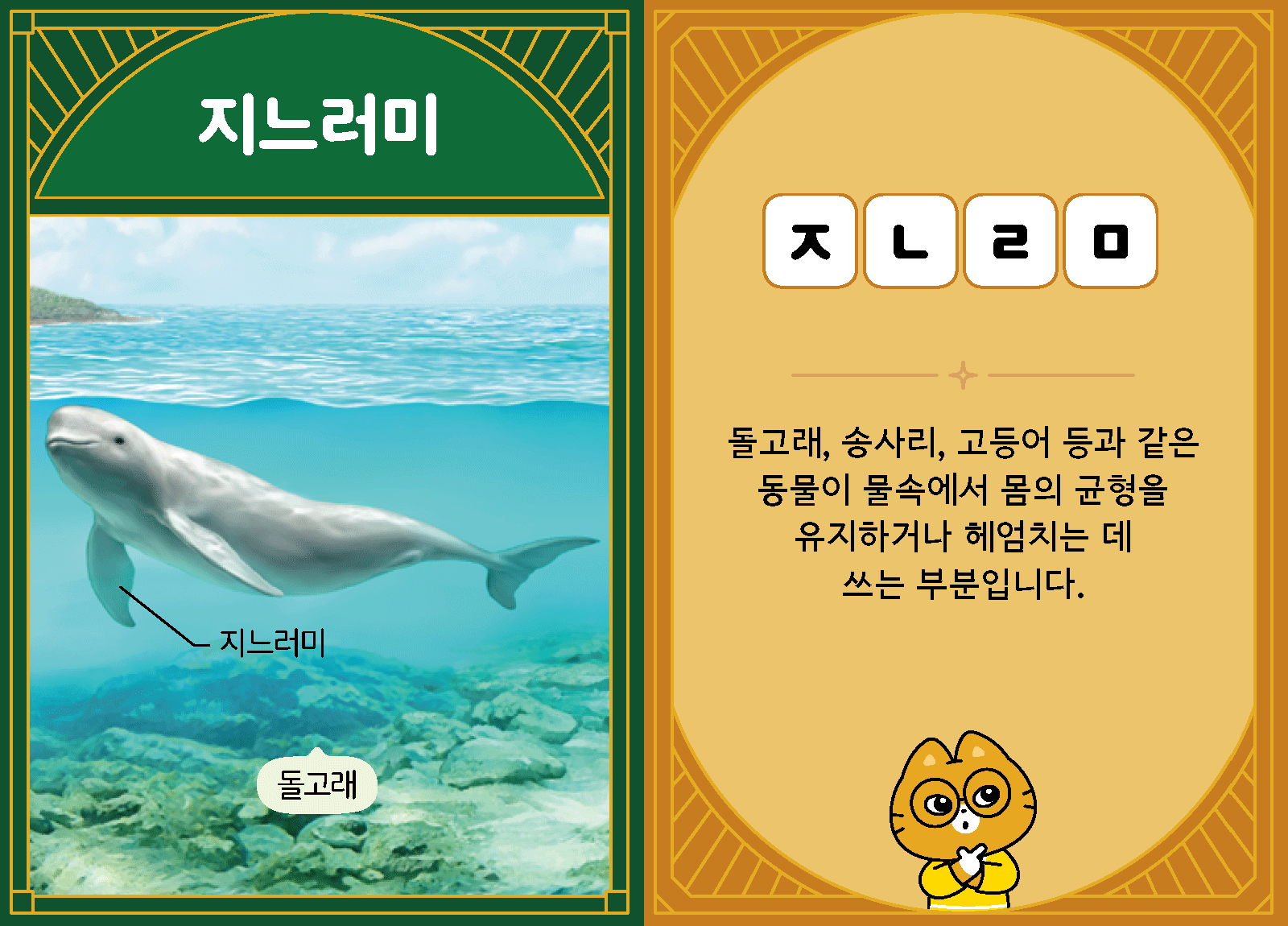 과학3-1-16-지느러미