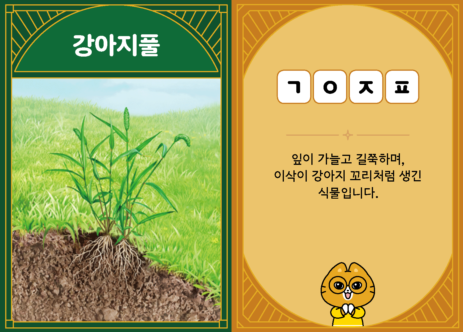 과학3-1-18-강아지풀