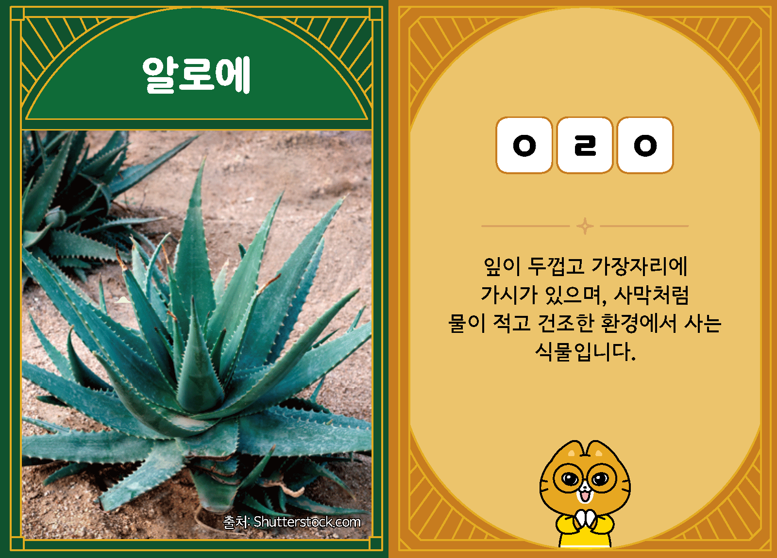 과학3-1-21-알로에