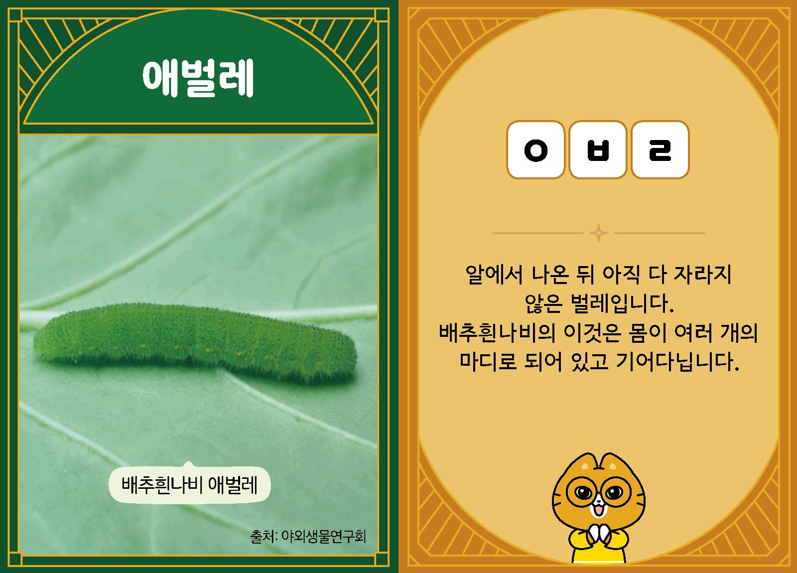 과학3-1-26-애벌레