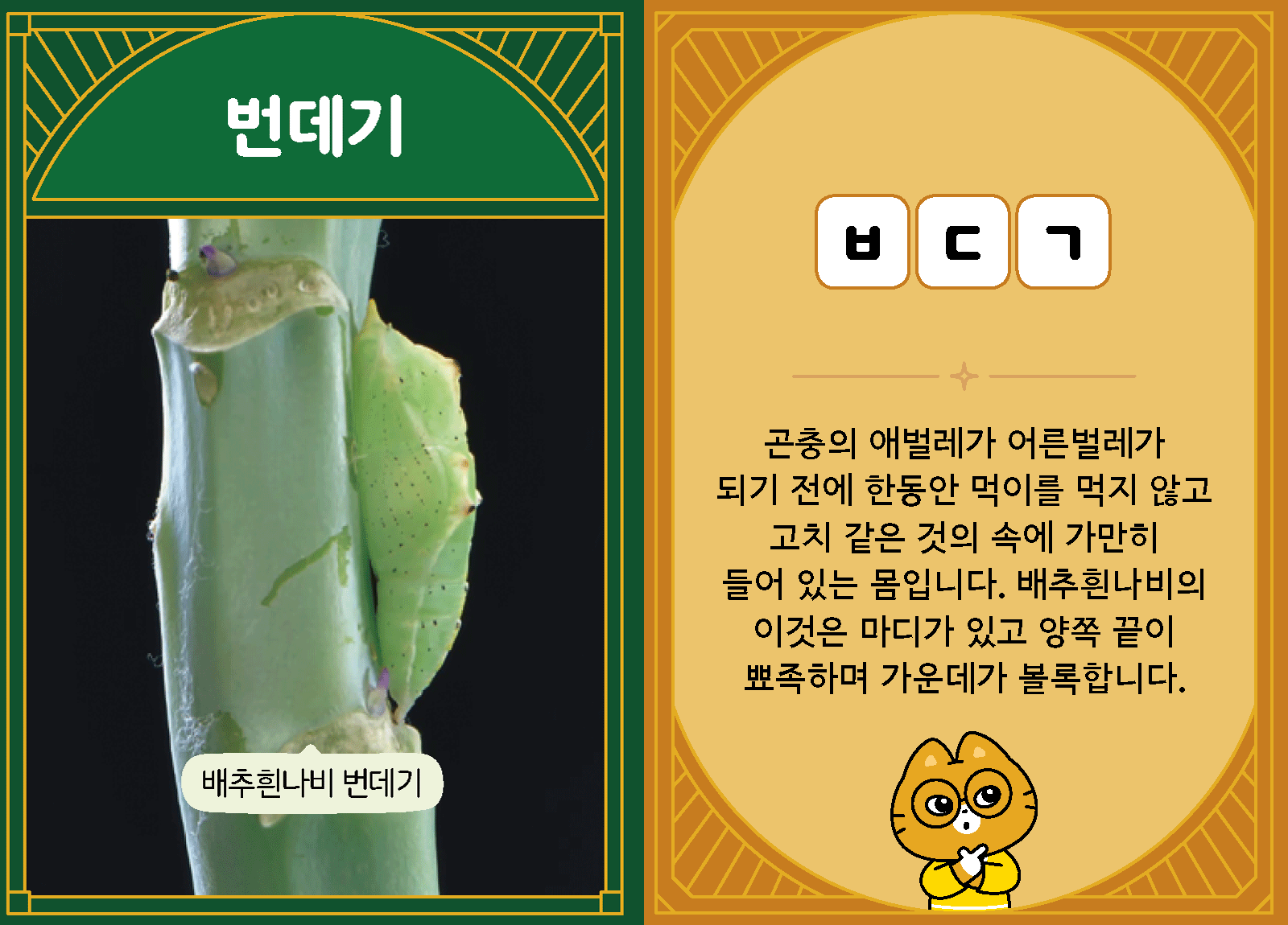 과학3-1-27-번데기