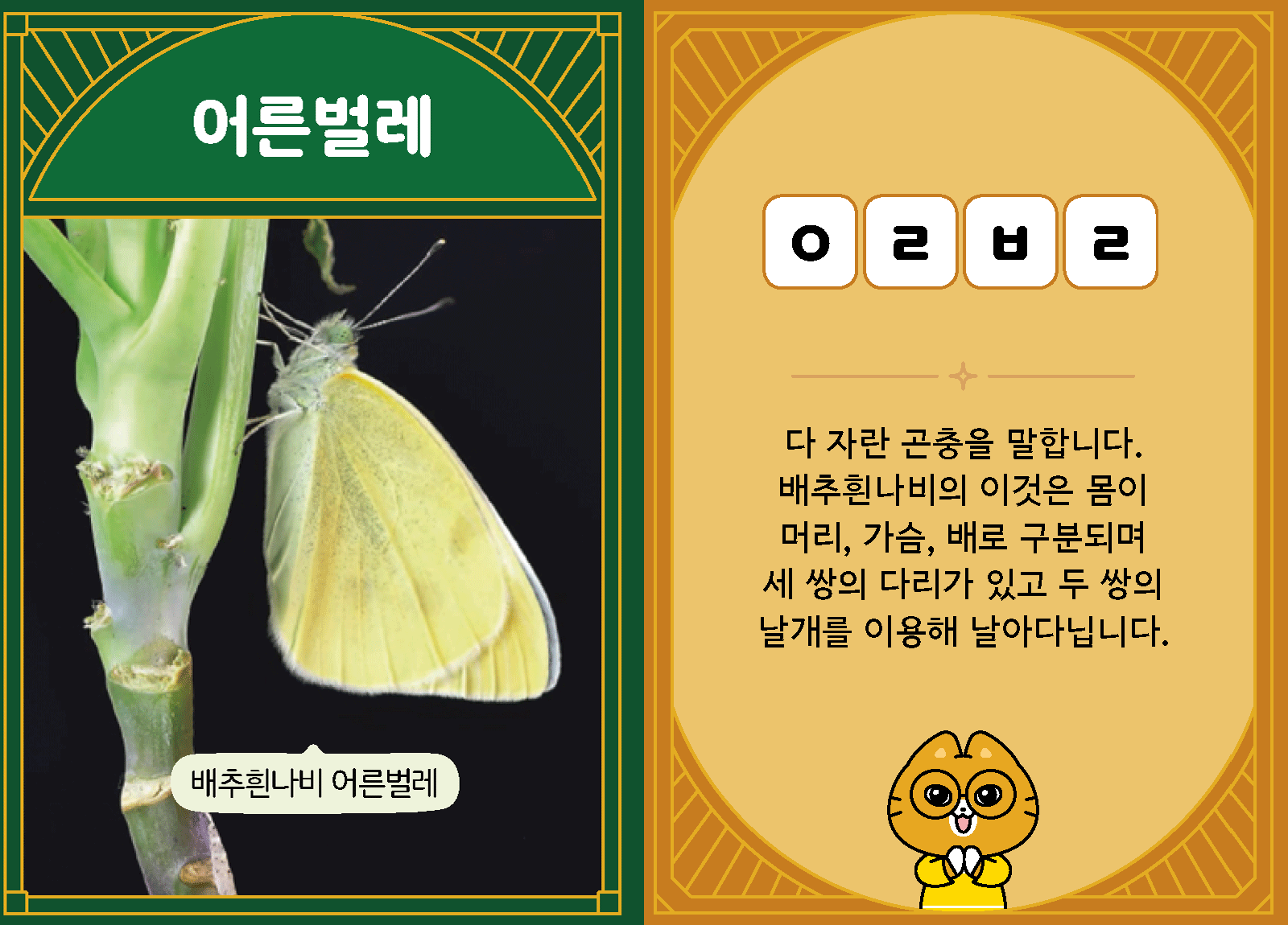 과학3-1-28-어른벌레