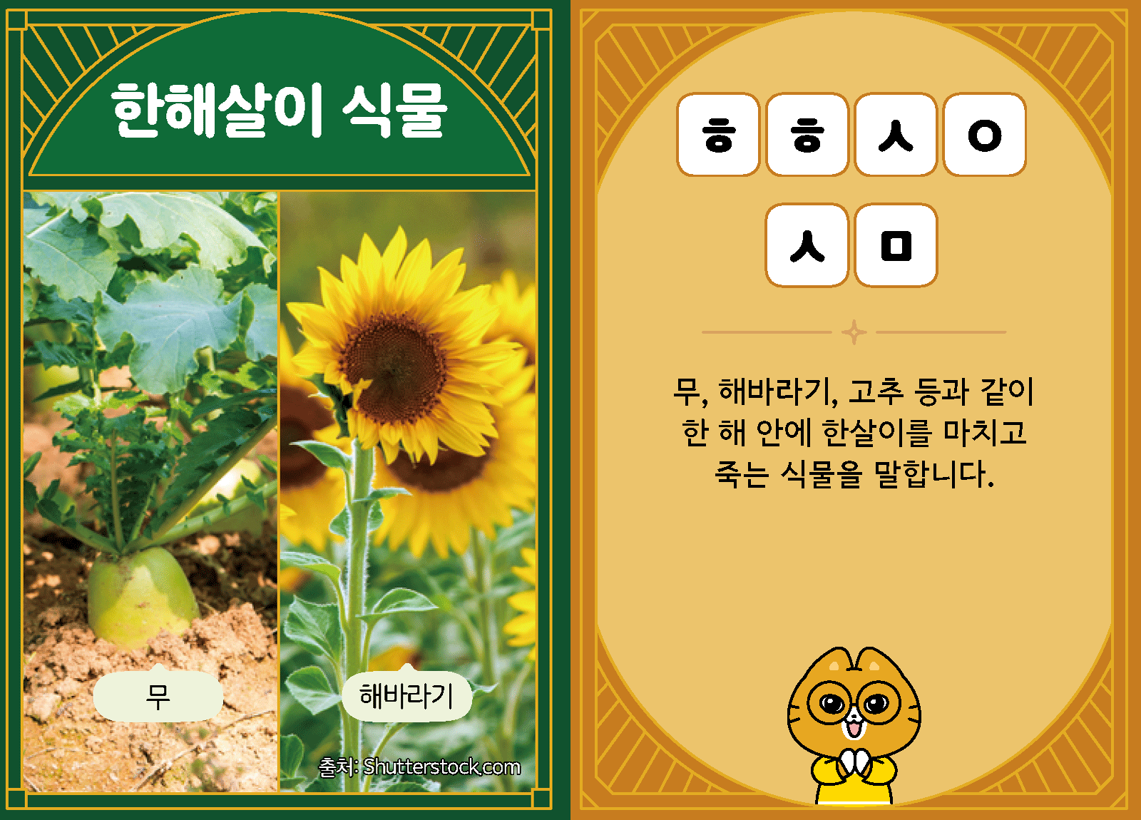 과학3-1-31-한해살이 식물