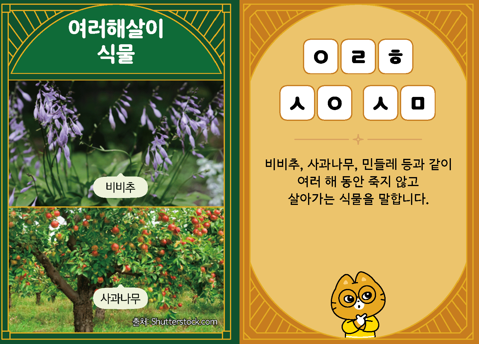 과학3-1-32-여러해살이 식물