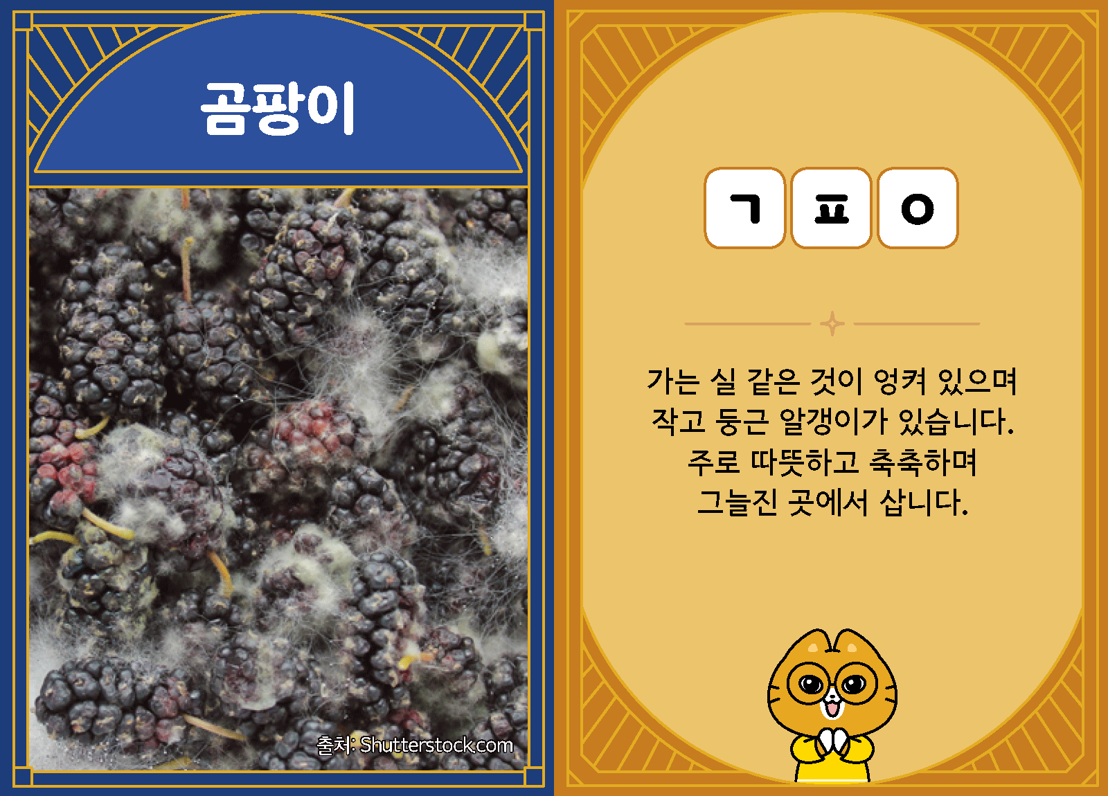 과학4-1-26-곰팡이