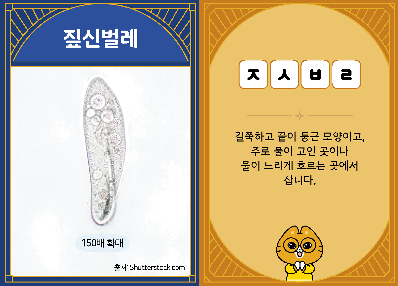 과학4-1-29-짚신벌레