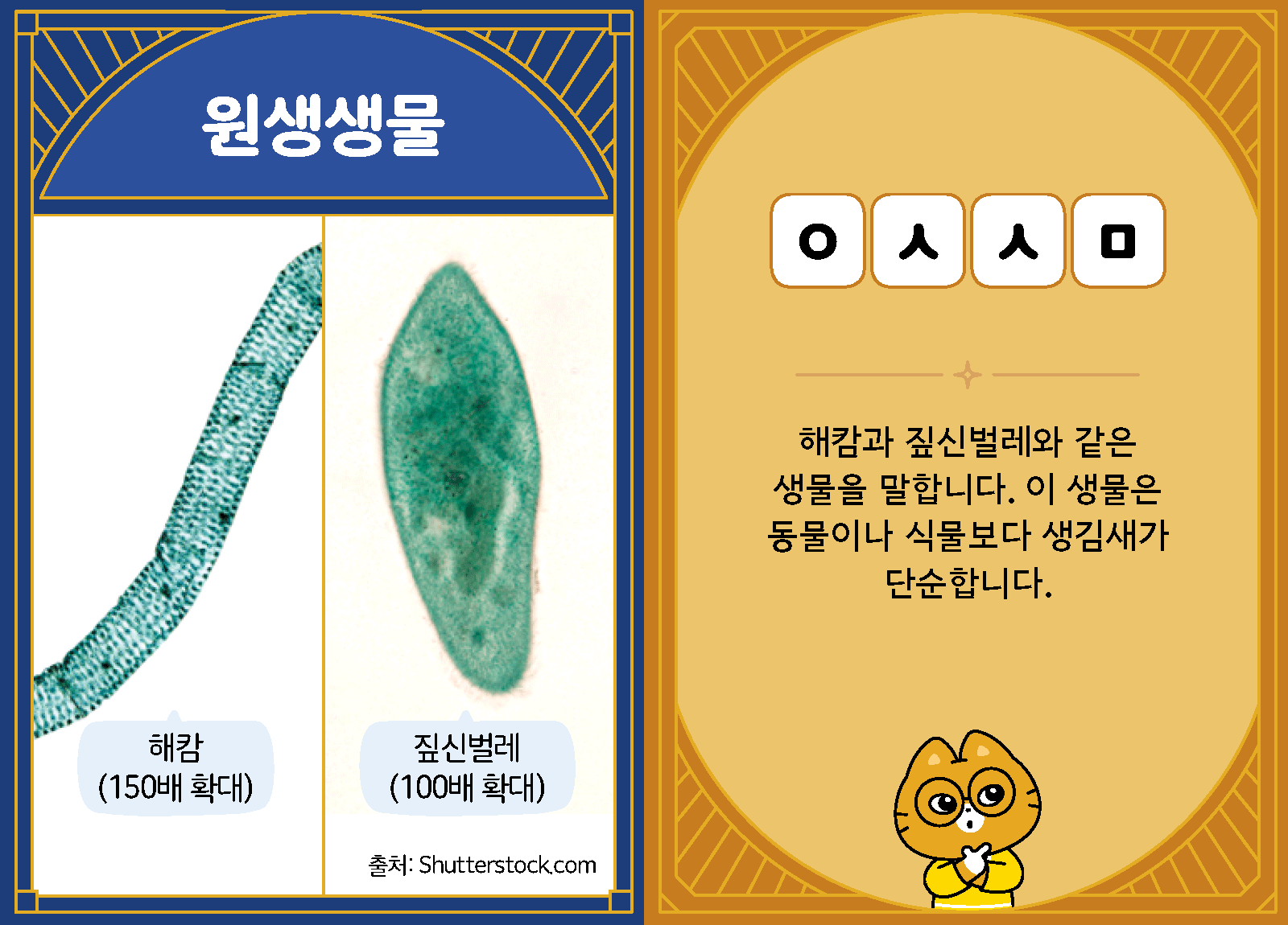 과학4-1-30-원생생물