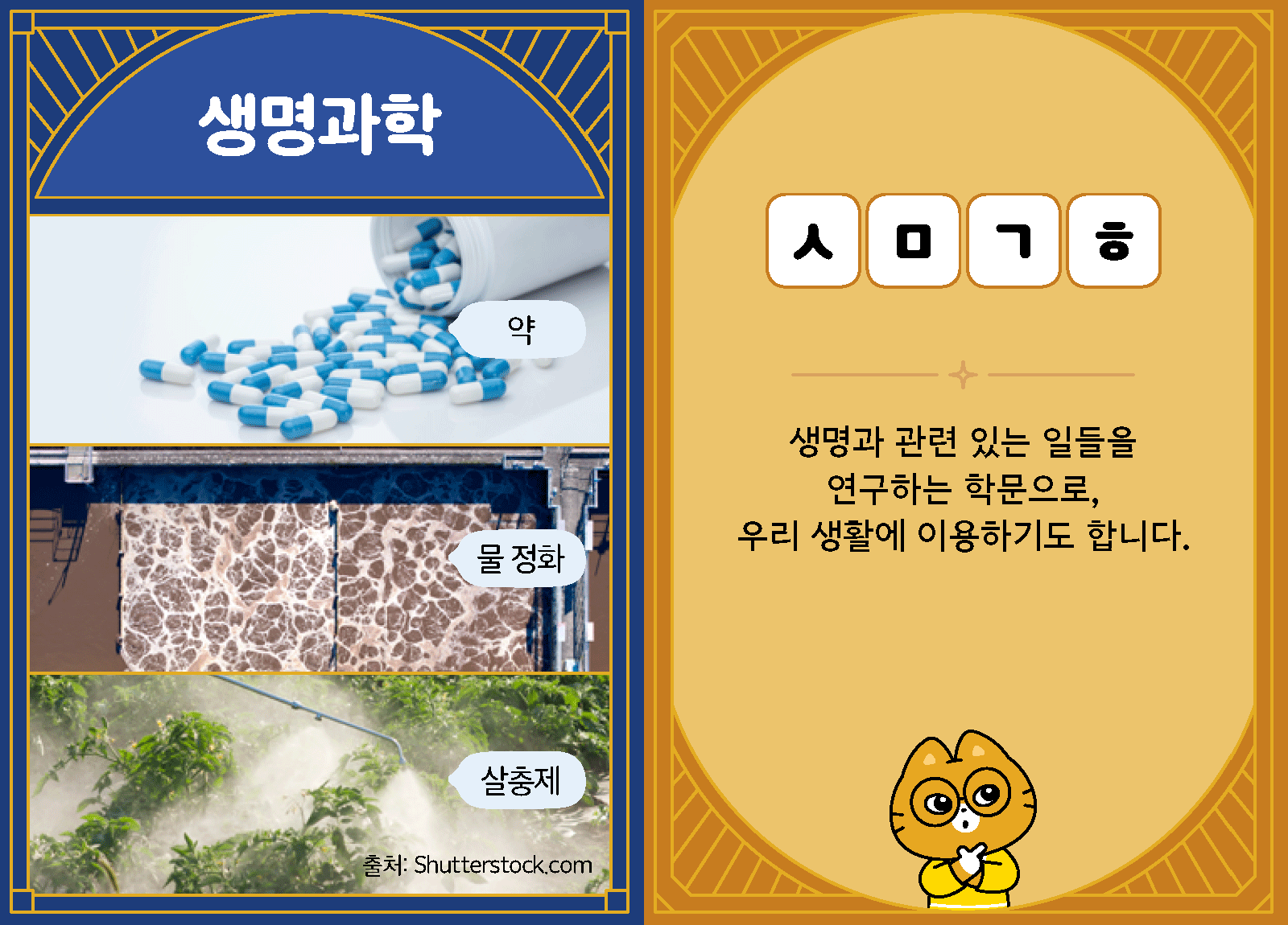 과학4-1-32-생명과학