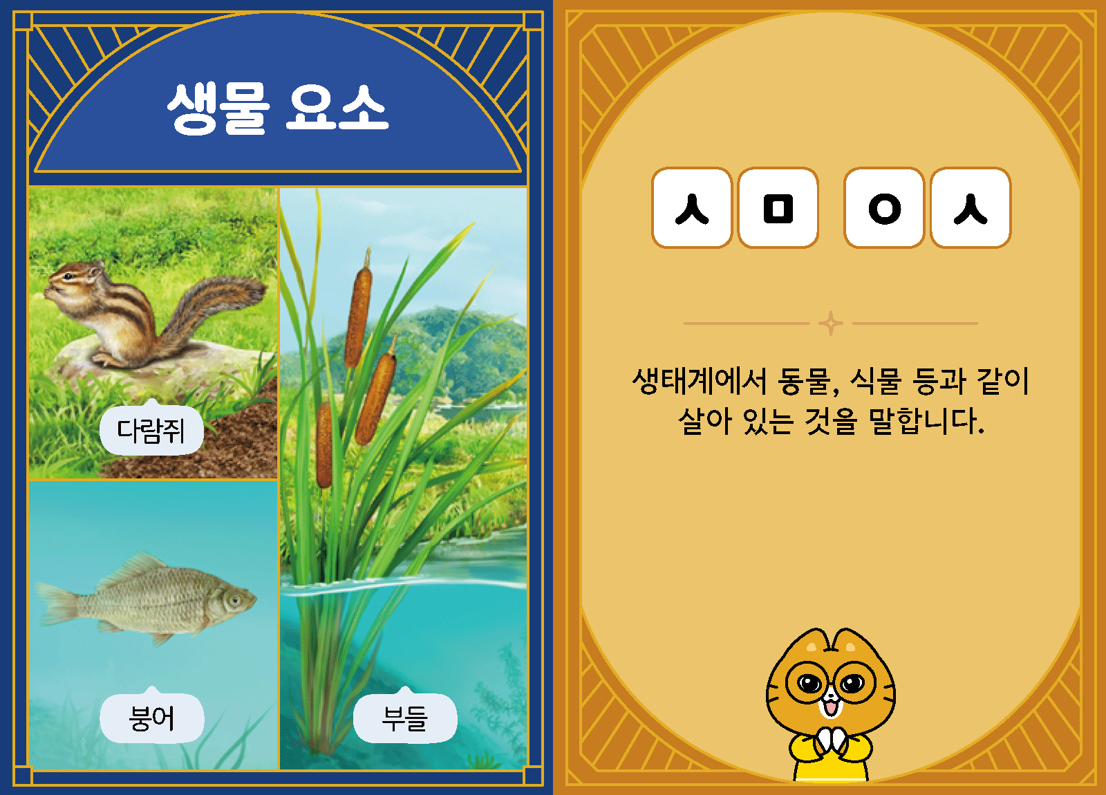 과학4-2-10-생물 요소