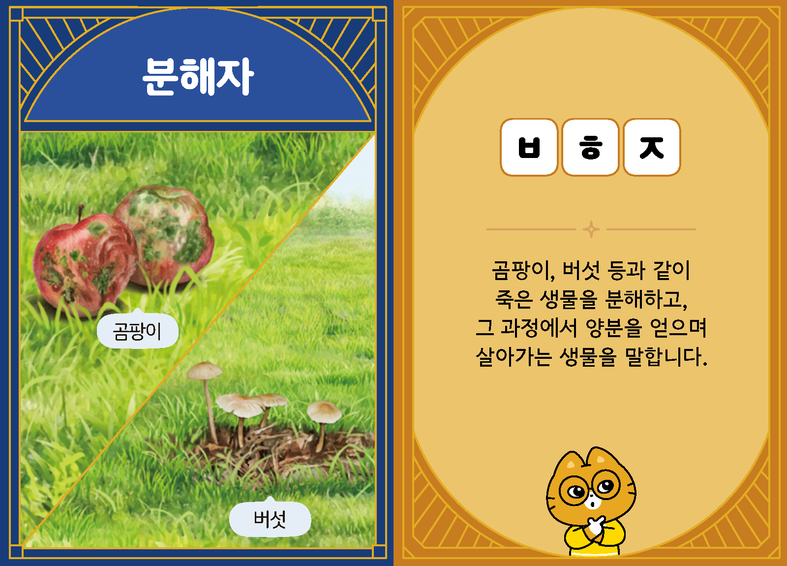 과학4-2-14-분해자