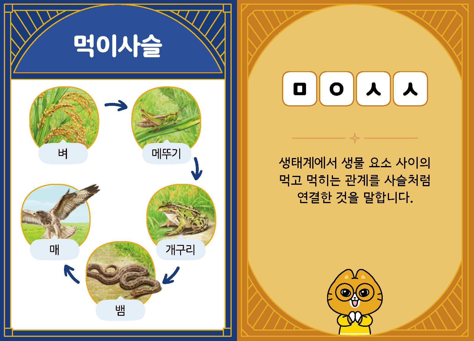 과학4-2-15-먹이사슬