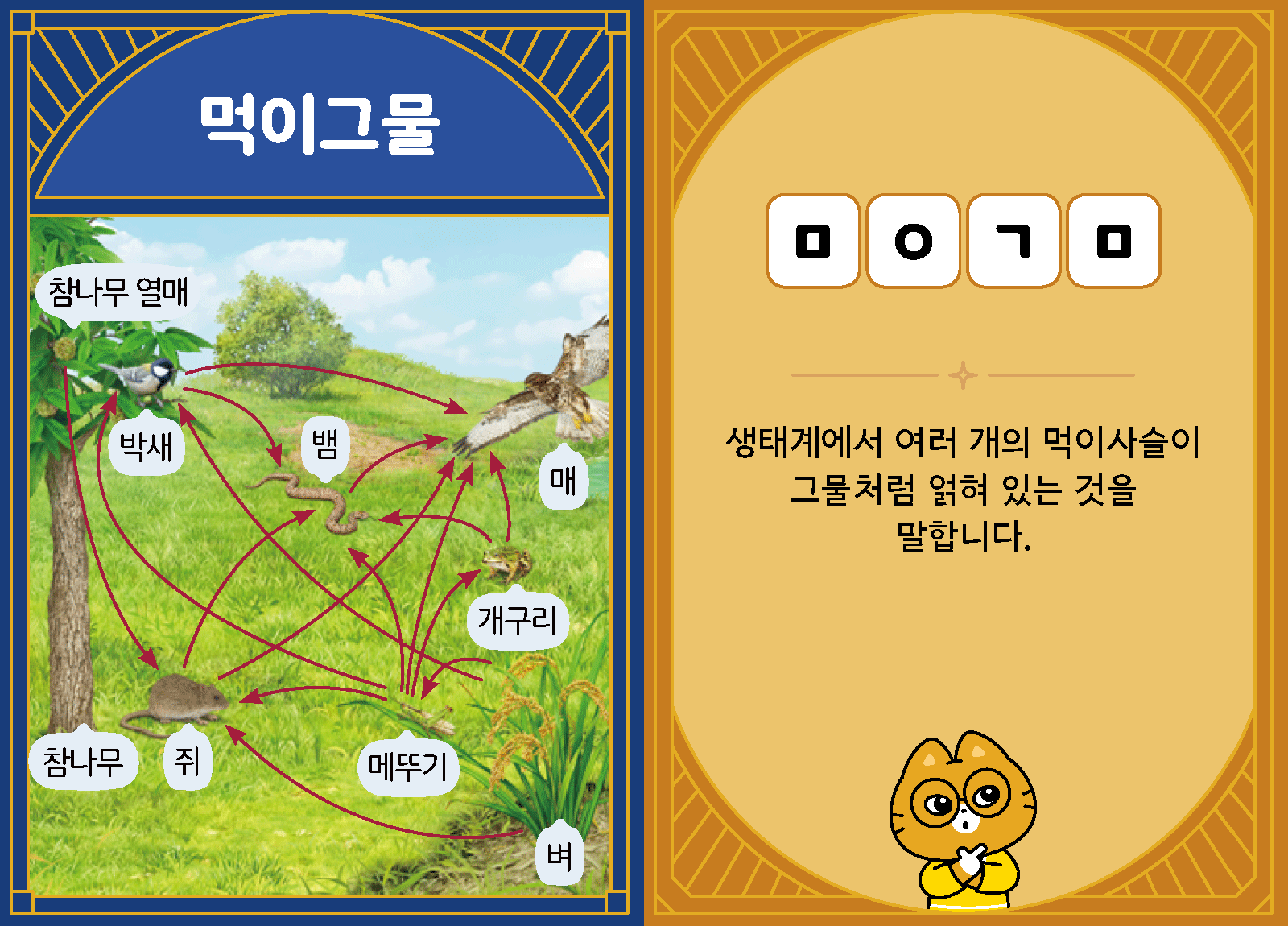 과학4-2-16-먹이그물