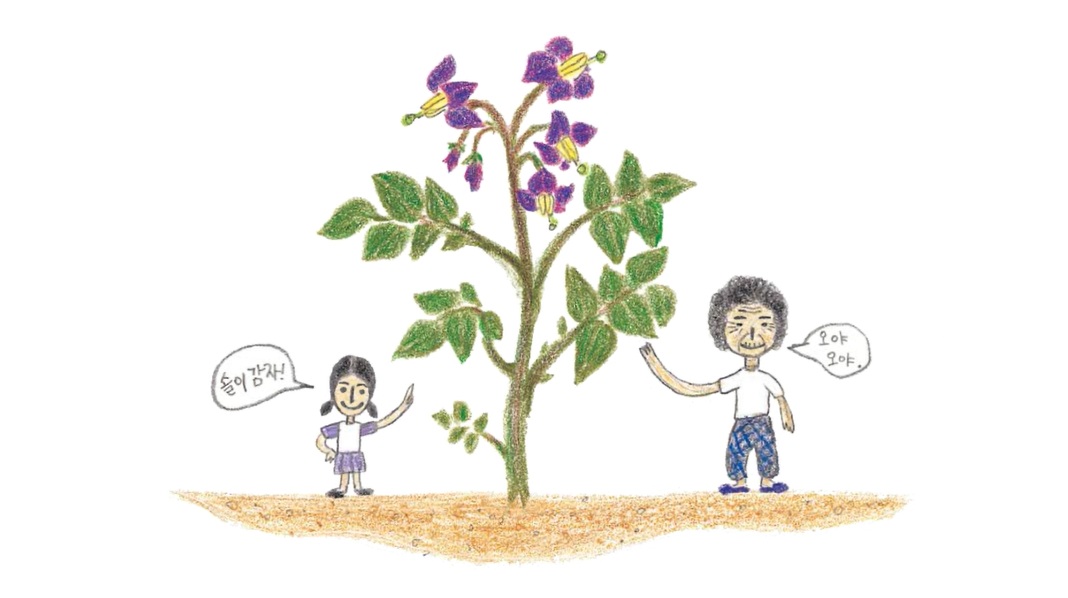 [이야기] 내 감자가 생겼어요
