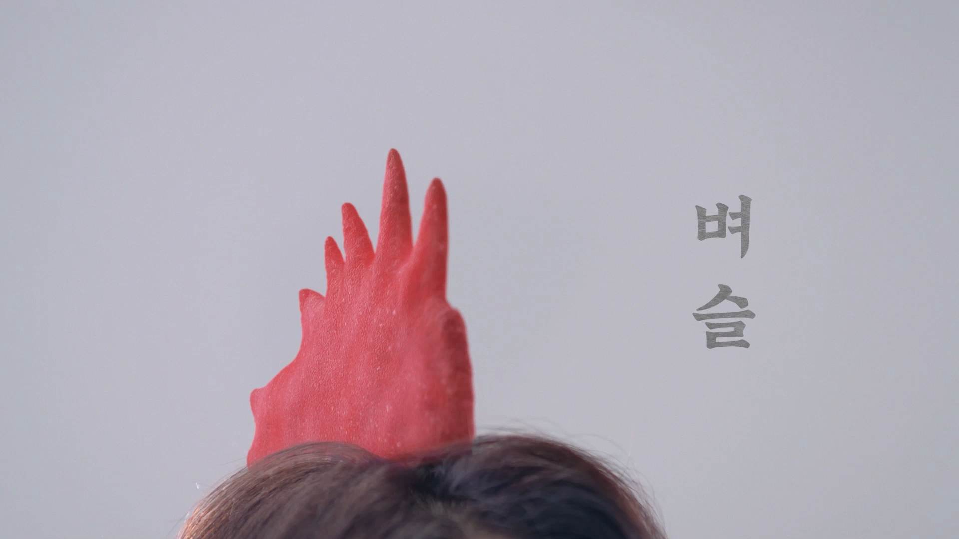 [경제] 갑질문화 인식개선 - 벼슬