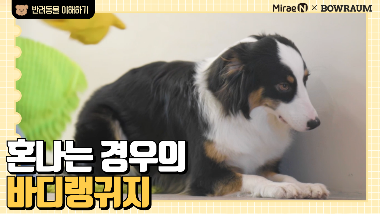 혼나는 경우의 바디랭귀지
