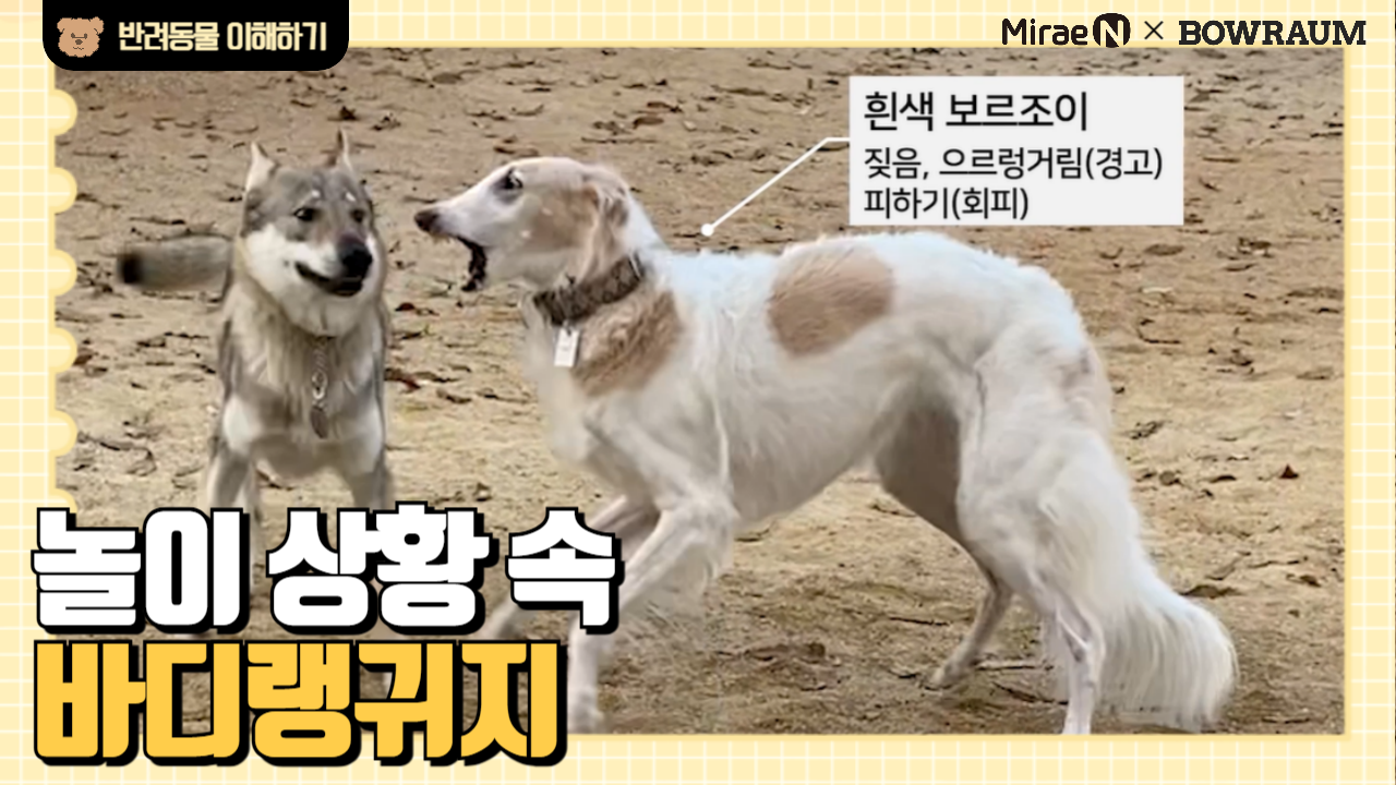 놀이 상황 속 바디랭귀지
